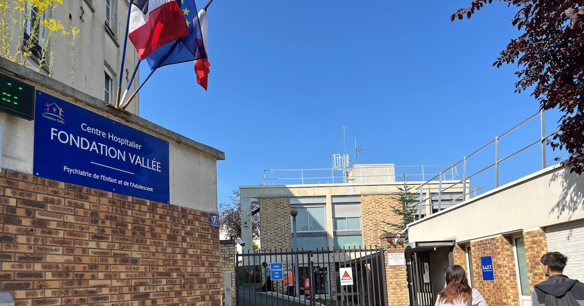 Педопсихиатрия: разгромный доклад ARS о нарушениях в Fondation Vallée